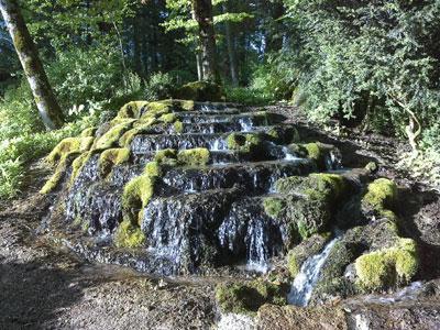 JARDIN DE SILIERE