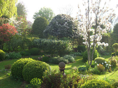 JARDIN « ENTRE CHARMILLES ET BUIS »