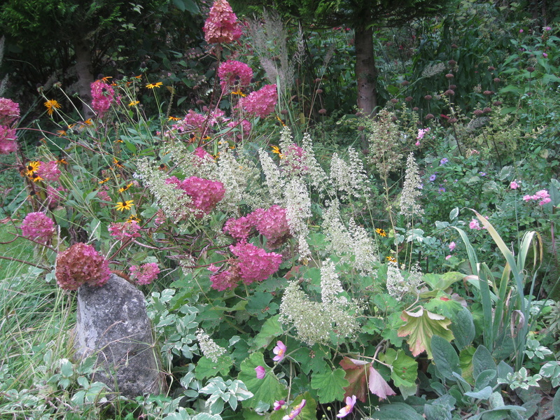 JARDIN SOUS LES CÔTES