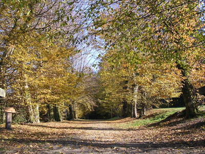 ARBORETUM DU CHÂTEAU DES BRASSEURS