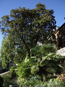 JARDINS DE LA CASAMAURES