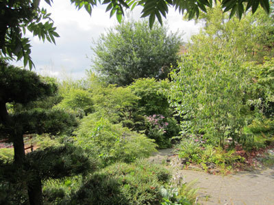 Jardin d'Esprit Japonais