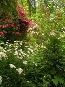 JARDIN DE BOISSONNA