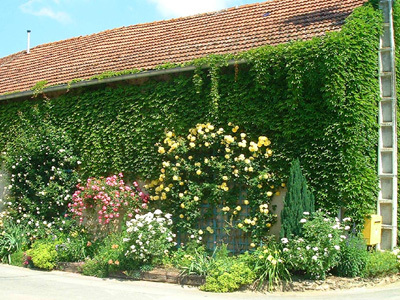 HAMEAU D'ORCOURT