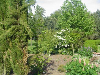 Jardin du Pâtural des Joncs