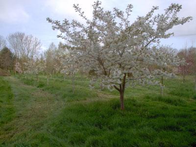 Les Jardins de La Beuverie