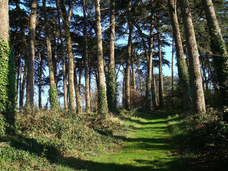 PARC ET JARDINS DU CHÂTEAU DE TOURNELAY