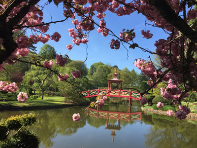 Parc floral d'Apremont