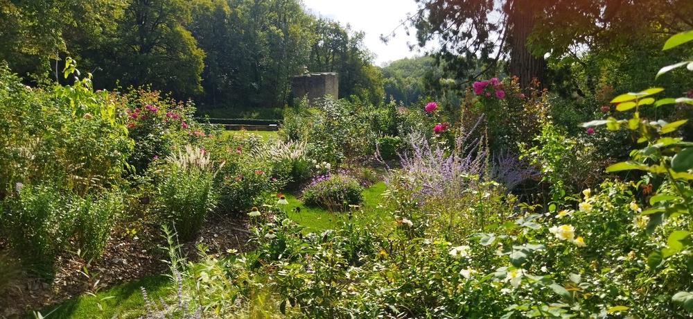 Jardin de roses de l'abbaye de Beaulieu en Rouergue