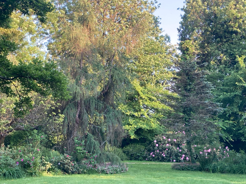 LE CLOS de CHANCHORE- Jardin Botanique