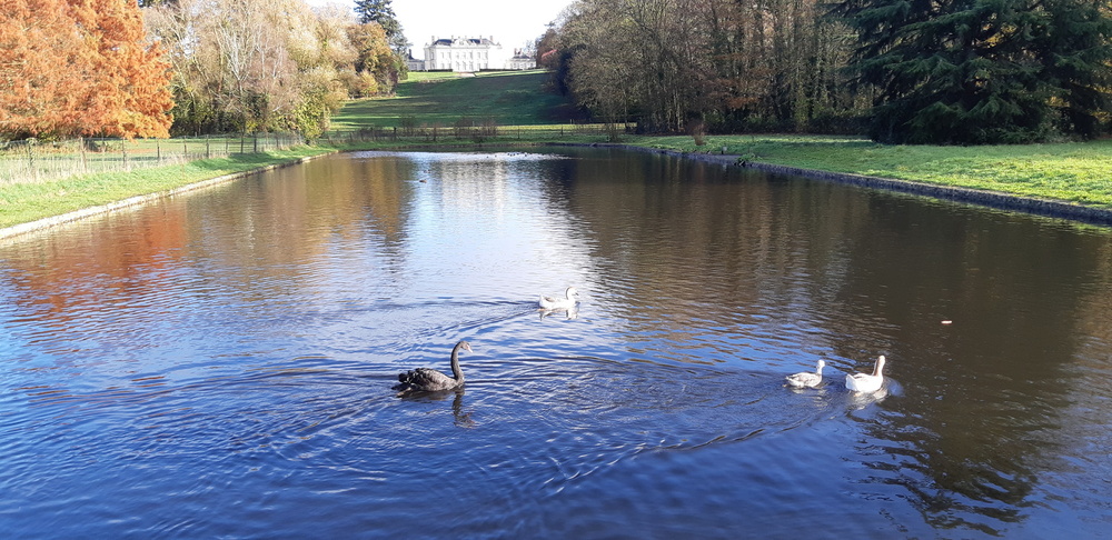 PARC ET JARDINS DU CHÂTEAU DE CRAON