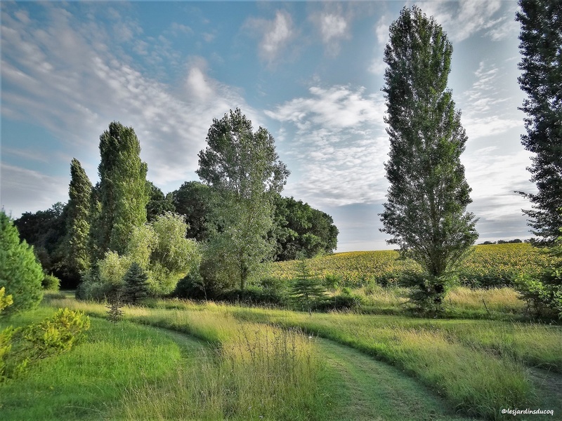 LES JARDINS DU COQ