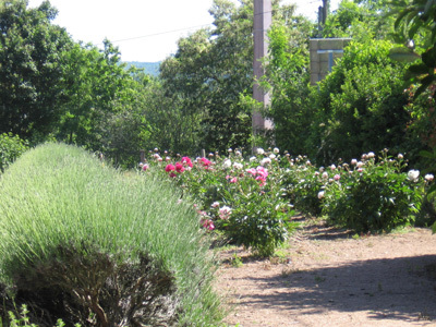 JARDINS DU DOMAINE DE LA CHAIZE