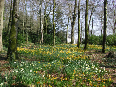 JARDINS DU CHÂTEAU DU GUILGUIFFIN