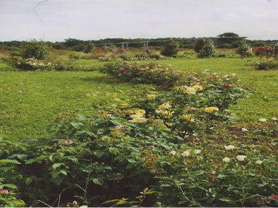 Le Jardin des Merlettes