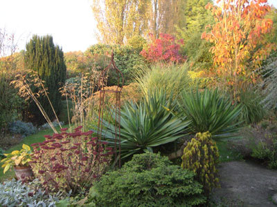 JARDIN « ENTRE CHARMILLES ET BUIS »