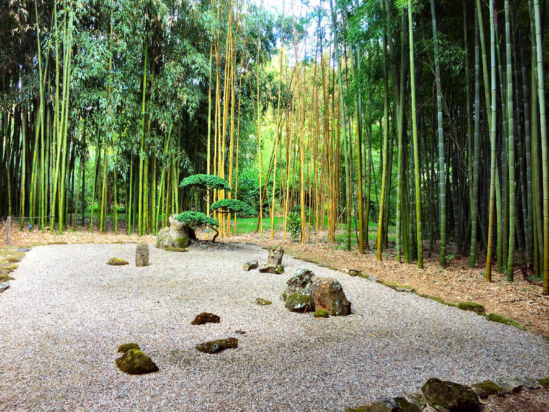 JARDIN LES BAMBOUS DE PLANBUISSON