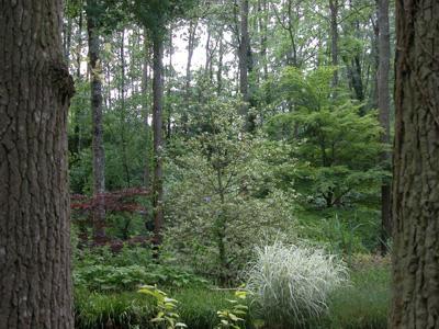 JARDIN ARBORETUM D'ILEX