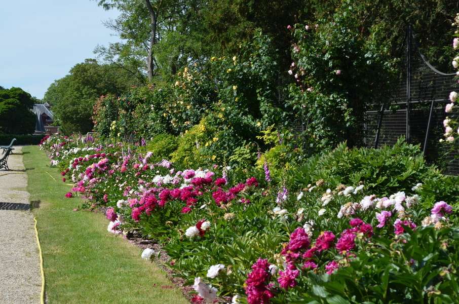 Parc de Bagatelle