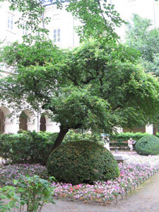 JARDIN DU PALAIS SAINT-PIERRE