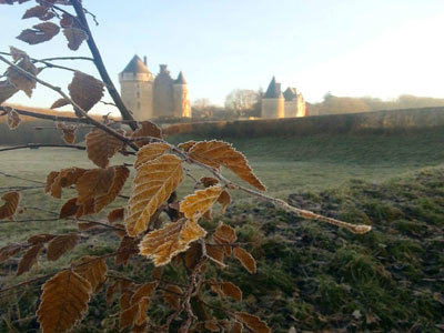 Promenade Forestière du Château de Montpoupon