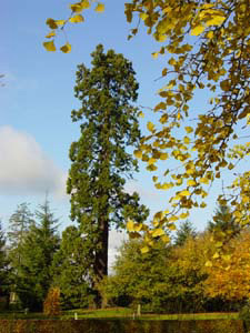 JARDIN FLORAL DU CHÂTEAU DE DIGEON