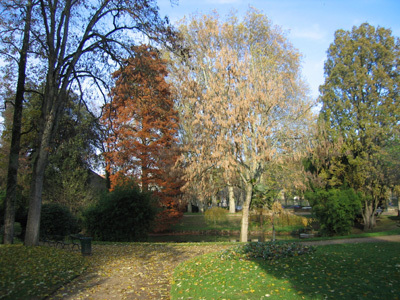 JARDIN DES PLANTES