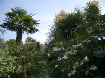 JARDIN DES FLEURS DE POTERIE