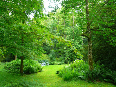 ARBORETUM DE LA FOSSE