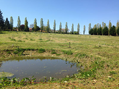 Les Jardins de Clogs