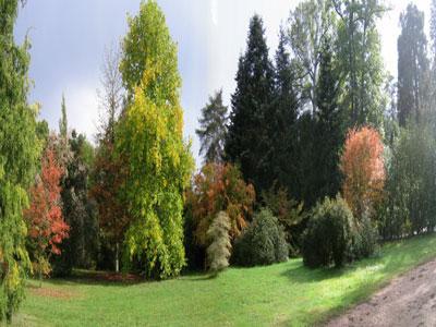 ARBORETUM NATIONAL DES BARRES