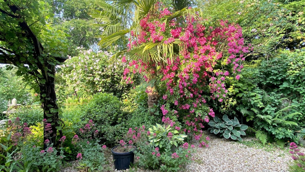 Jardin du coudray