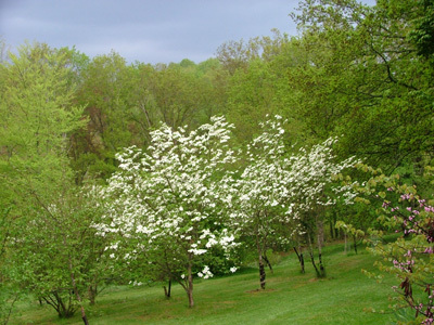 ARBORETUM DE LA SEDELLE