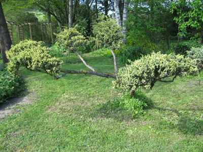 JARDIN SOUS LES CÔTES