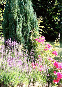 JARDIN LA BOURDONNIERE