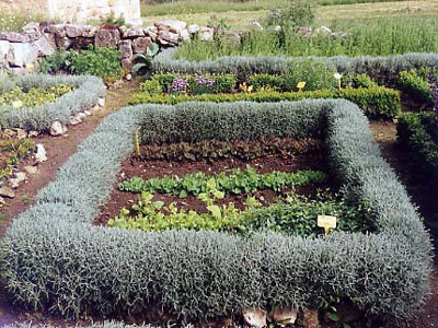 JARDIN MÉDIÉVAL DE PLANTES AROMATIQUES ET MÉDICINALES DE LA COMMANDERIE DE SALLEBRUNEAU