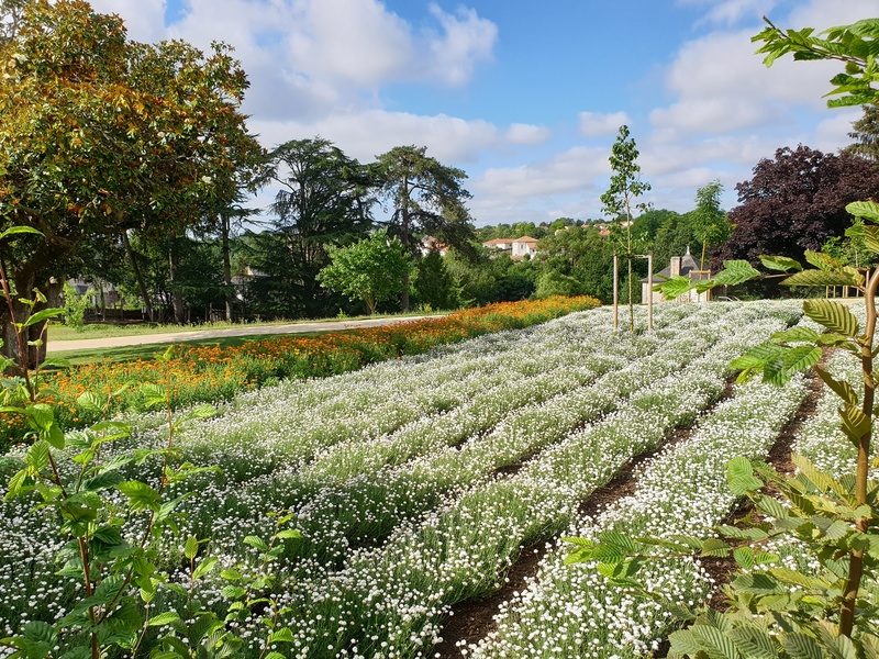 CAMIFOLIA - JARDIN DES PLANTES SANTE, BEAUTE, BIEN-ETRE