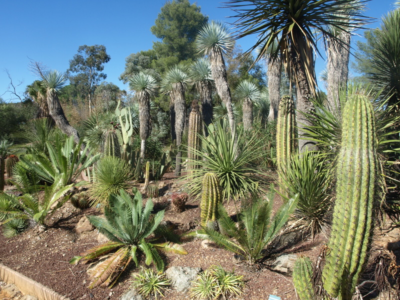 Jardin Zoologique tropical