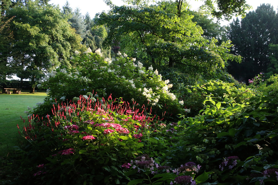 JARDIN FLORAL DU CHÂTEAU DE DIGEON