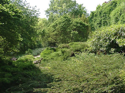 PARC DES CARRIÈRES BACQUIN