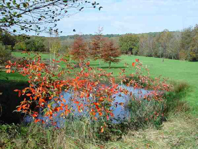 ARBORETUM DE BOISCORDE