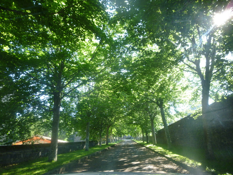 JARDIN POTAGER DU CHÂTEAU DAUPHIN