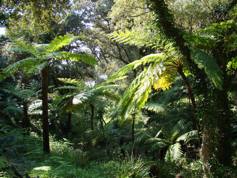 DOMAINE DU RAYOL, JARDIN DES MÉDITERRANÉES