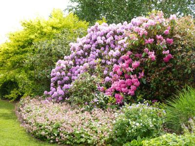 LES JARDINS DES RENAUDIES