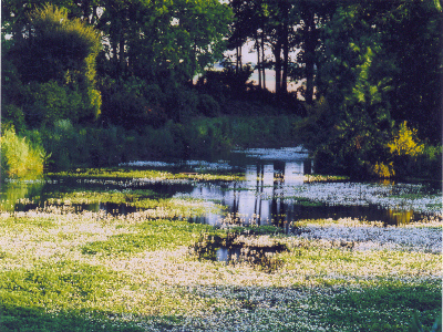 LES JARDINS DU BOTRAIN