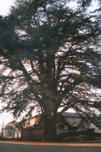 Château de Longsard