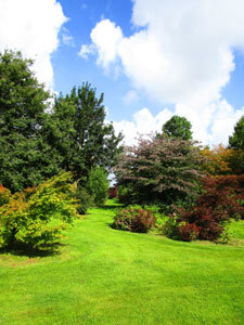 JARDIN DU MESNIL ET PARC BOTANIQUE DE BRAY