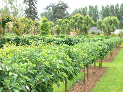 Jardins du Château de Villaines