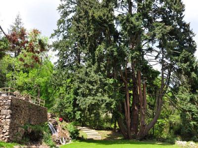 La Forge de Montolieu