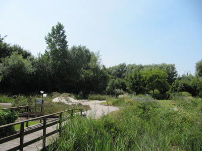 Jardin des plantes sauvages et Jardin des plantes médicinales